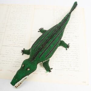 Sırtı Çizgili Timsah