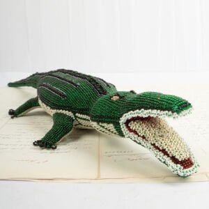 Sırtı Çizgili Timsah