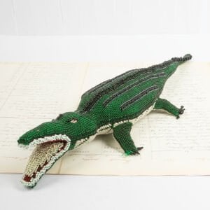 Sırtı Çizgili Timsah