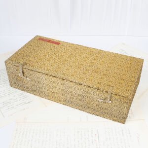 Qianlong Çin Blue Blanc Porselen Fırça Takımı