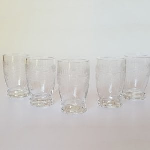 İğne İşli 5’li Set Likör Bardağı