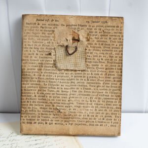 Fransız Çocuk Portre