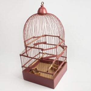 Pembe Kuş Kafesi