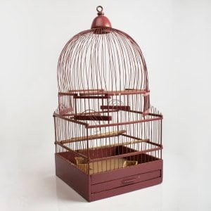 Pembe Kuş Kafesi