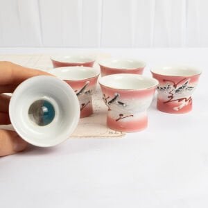 Erotik Sake Bardakları