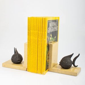 Balıklı Kitap Dayanakları