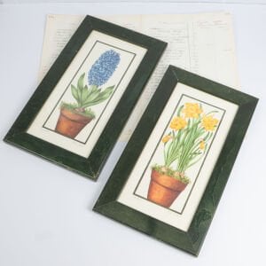 Sümbül ve Nergis Baskı Çerçeve