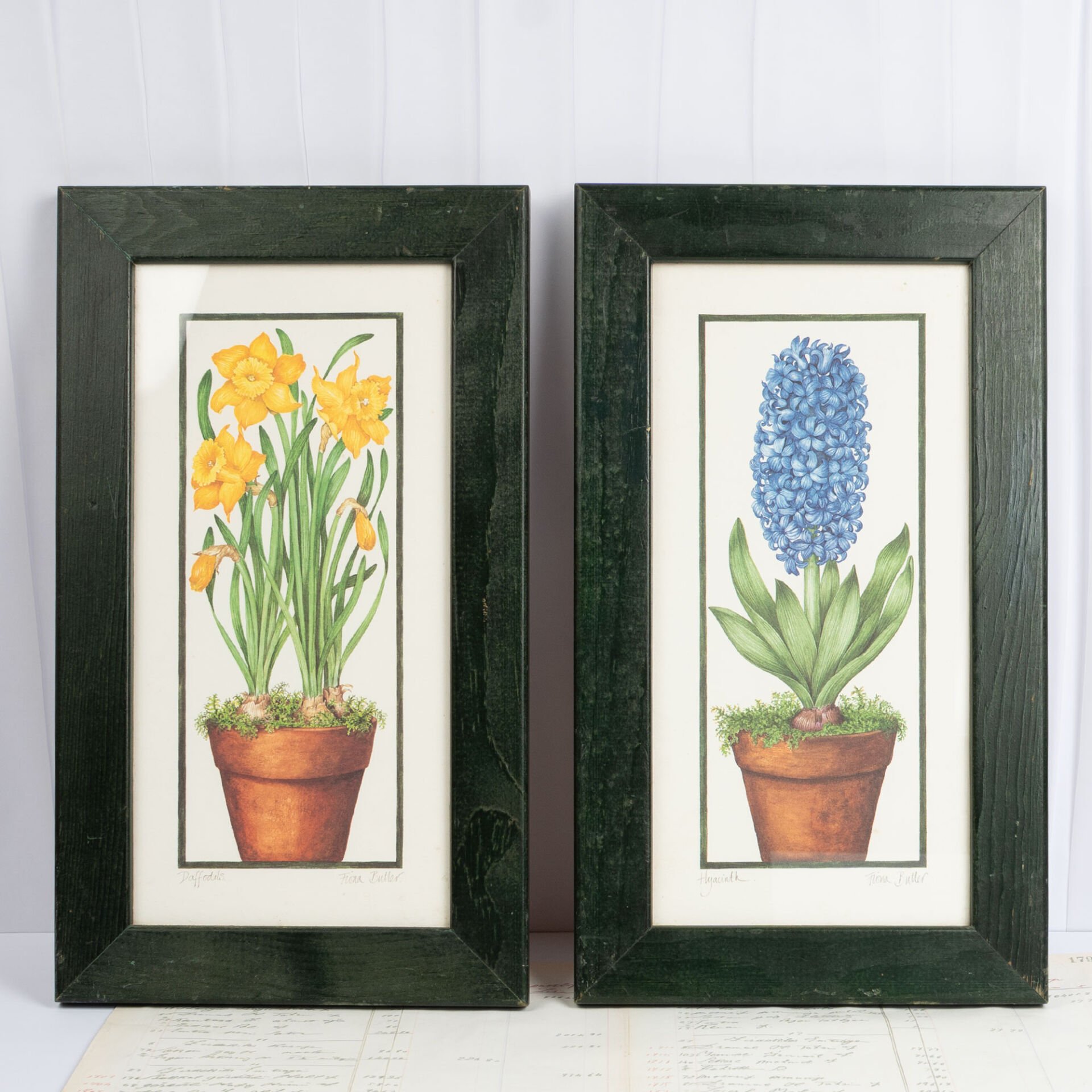 Sümbül ve Nergis Baskı Çerçeve