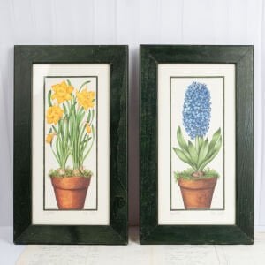 Sümbül ve Nergis Baskı Çerçeve