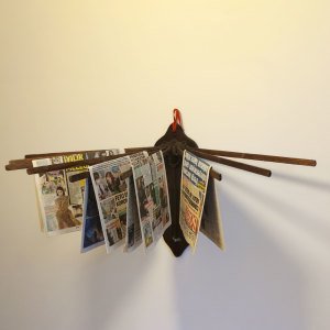 Gazete – Çamaşır Asma Aparatı