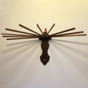 Gazete – Çamaşır Asma Aparatı