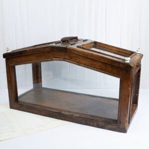 İri Parfüm Satıcısı Kutusu