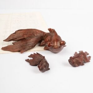 Japon Balığı Ailesi