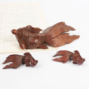 Japon Balığı Ailesi