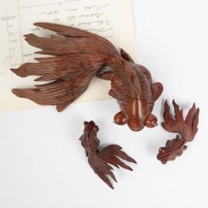 Japon Balığı Ailesi