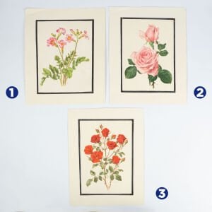 Anne Marie Trechslin 1927-2007 Çiçek Çizimi Baskıları