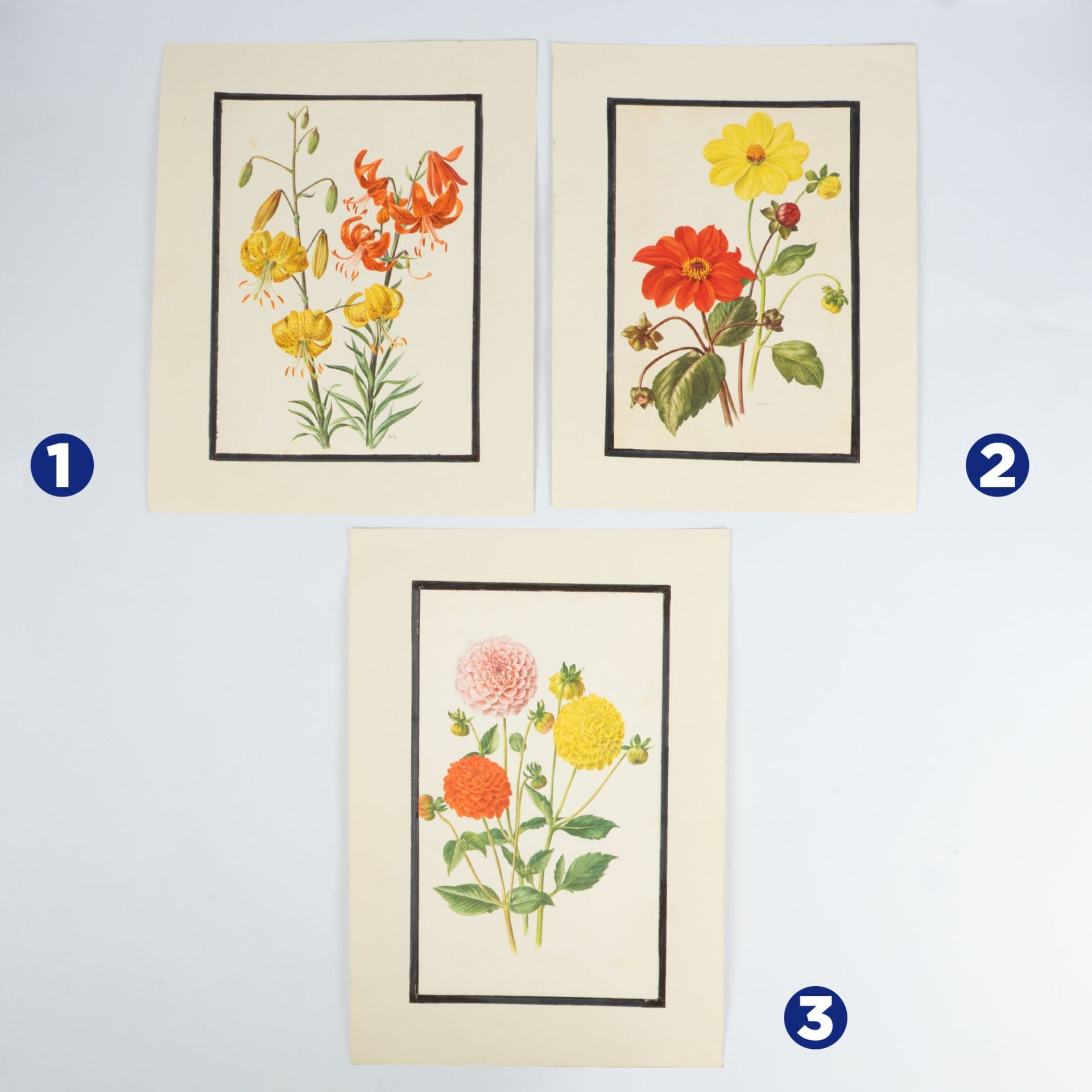 Anne Marie Trechslin 1927-2007 Çiçek Çizimi Baskıları(Kopya)