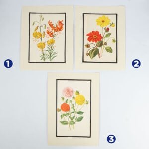 Anne Marie Trechslin 1927-2007 Çiçek Çizimi Baskıları(Kopya)