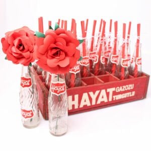 Hayat Gazoz Kasa ve Şişeleri