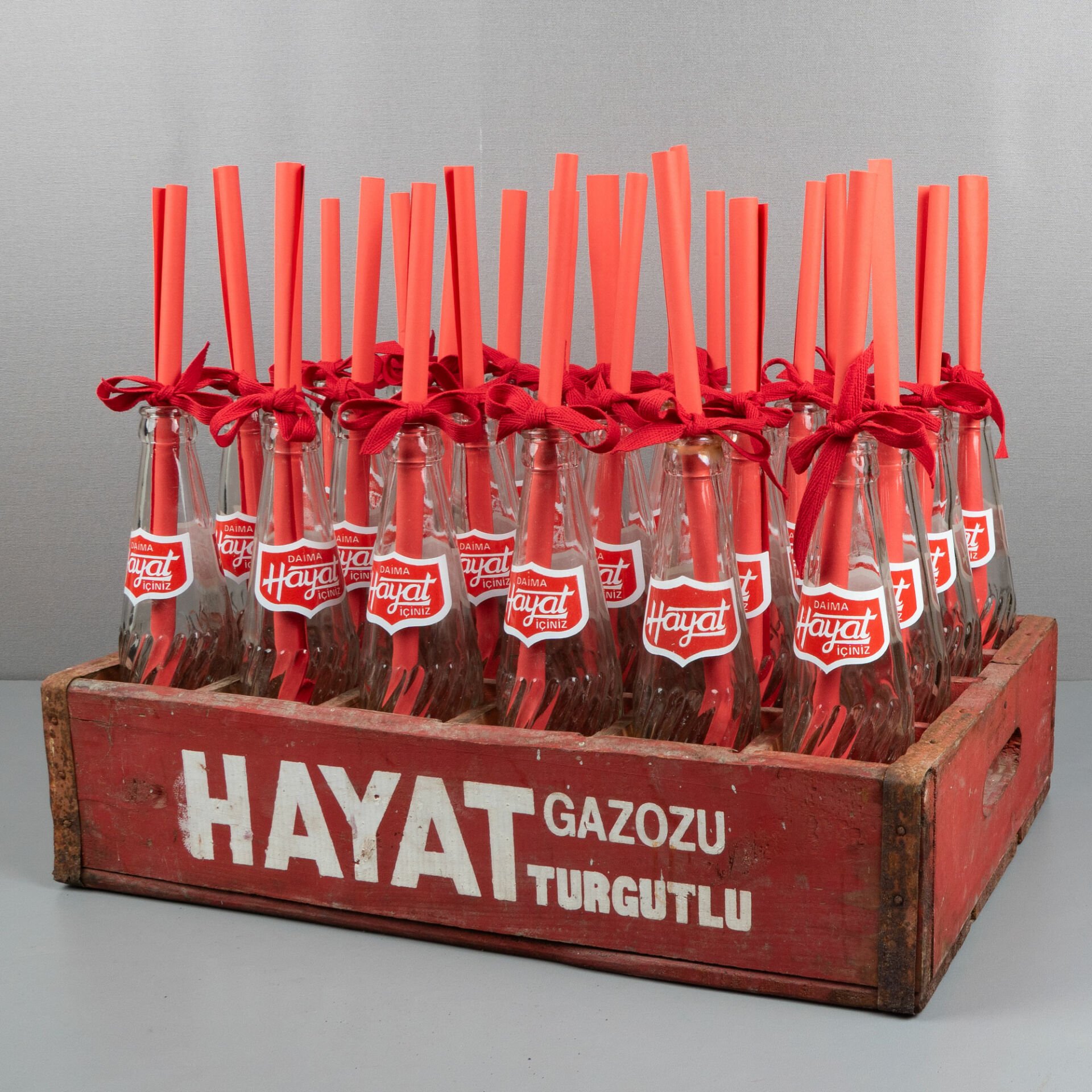 Hayat Gazoz Kasa ve Şişeleri