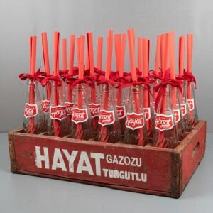 Hayat Gazoz Kasa ve Şişeleri