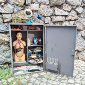 DAYM İlkokul Fen Tabiat Eğitim Dolabı