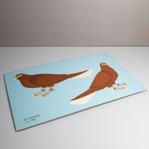 Büyük Çift Güvercin Resmi