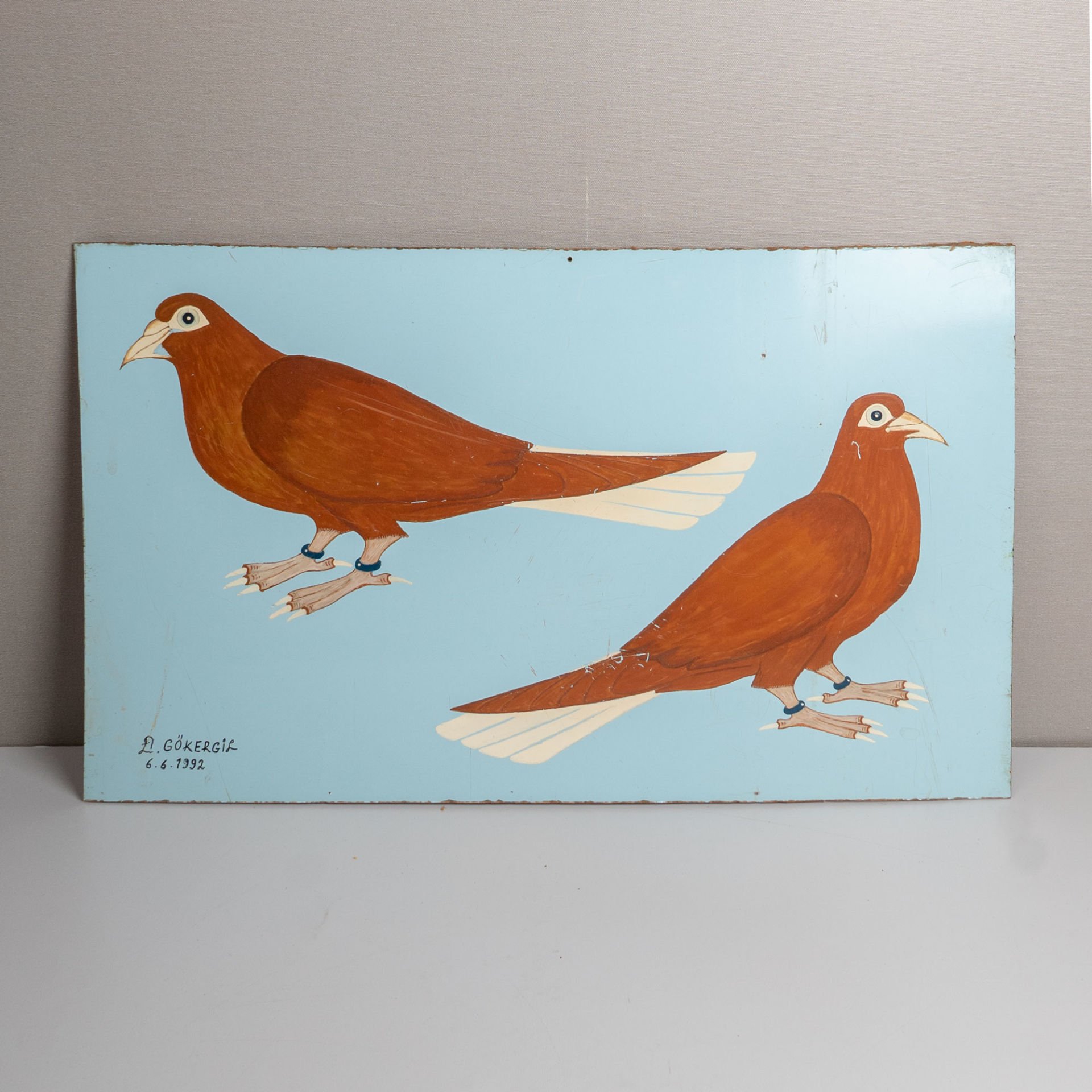 Büyük Çift Güvercin Resmi