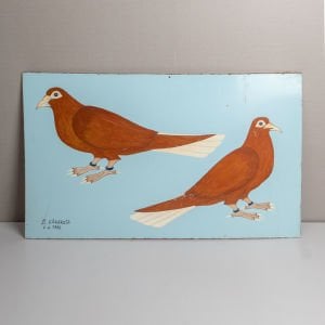 Büyük Çift Güvercin Resmi