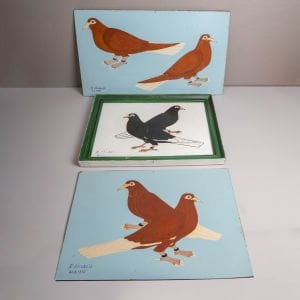 Ufak Çift Güvercin Resmi