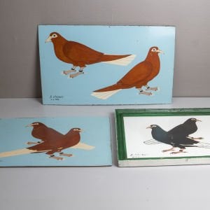 Ufak Çift Güvercin Resmi