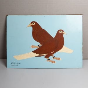 Ufak Çift Güvercin Resmi