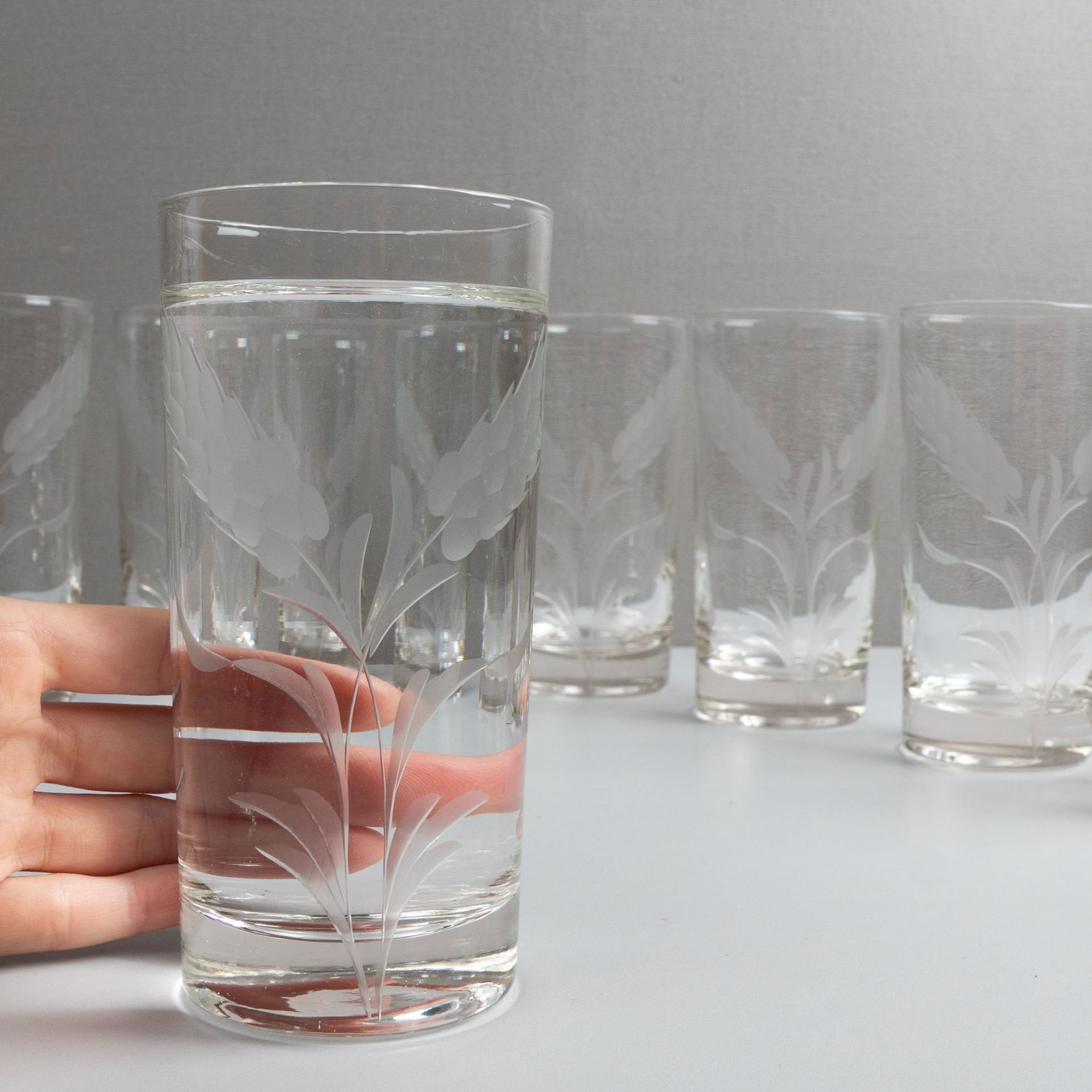 Başaklı  10 İri Bardak