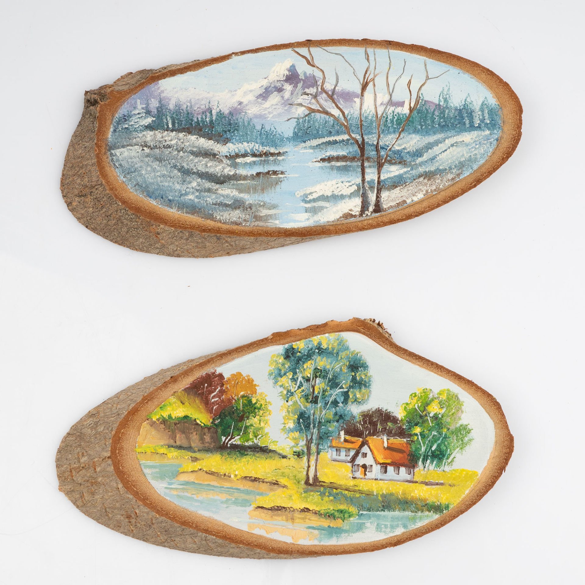 Yaz ve Kış Manzaraları