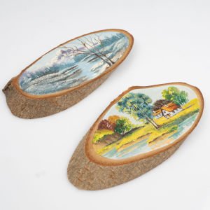 Yaz ve Kış Manzaraları