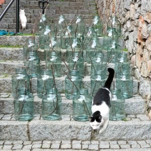 Yeşil Cam Kavanozlar