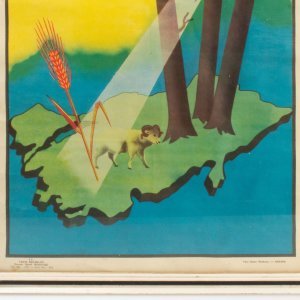 Orman Bereket Afişi