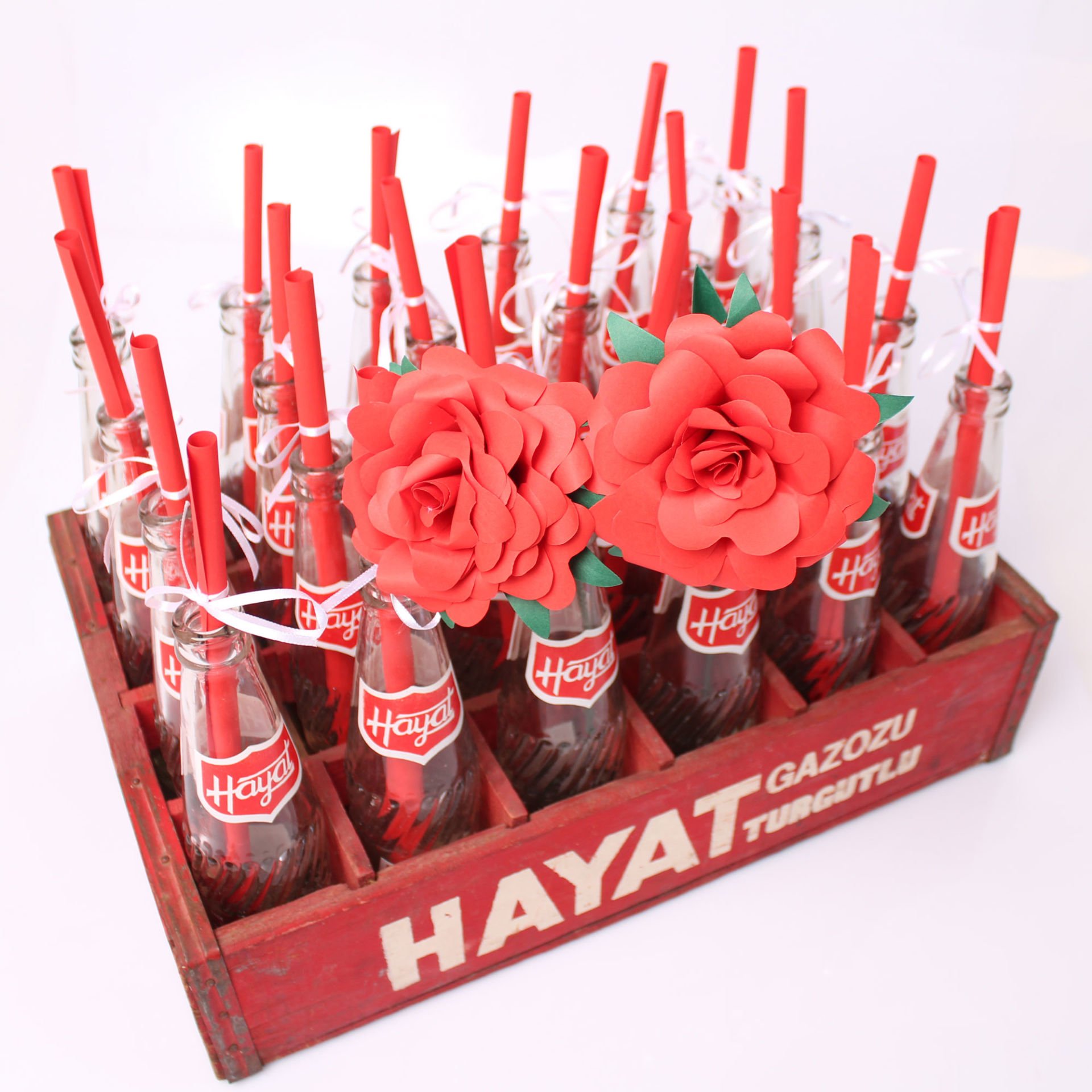 Hayat Gazoz Kasa ve Şişeleri Çift Güllü ve Not Kağıtlı