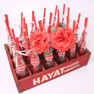Hayat Gazoz Kasa ve Şişeleri Çift Güllü ve Not Kağıtlı