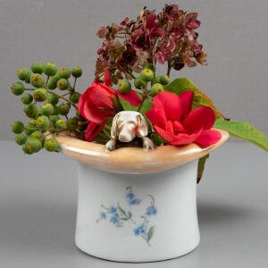 Silindir Şapka ve Köpek Kaşıklık