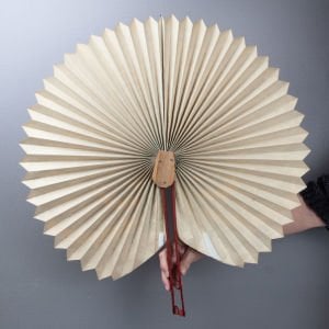 Tavus Kuşu Dev Yelpaze