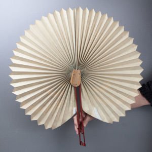 Tavus Kuşu Dev Yelpaze