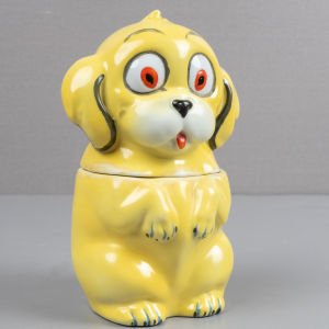 Sarı Kapaklı Köpek