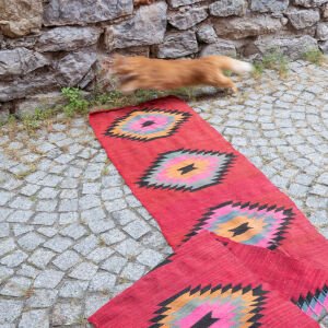 Kırşehir Kilim Yolluk