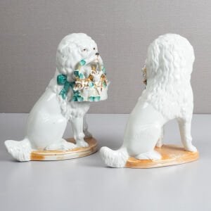 Çift Poodle Biblo