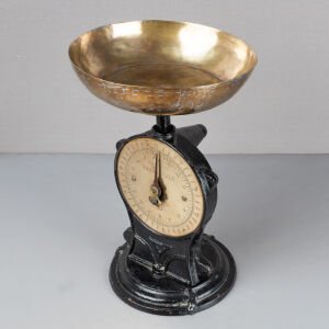 Salter’s Improved Family Scale