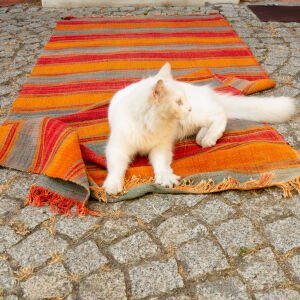 Turuncu Çizgili Kilim Yolluk