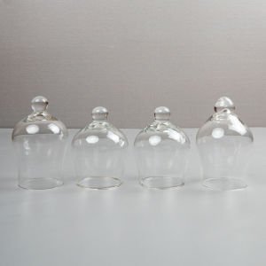 4 Adet Karışık Hacamat