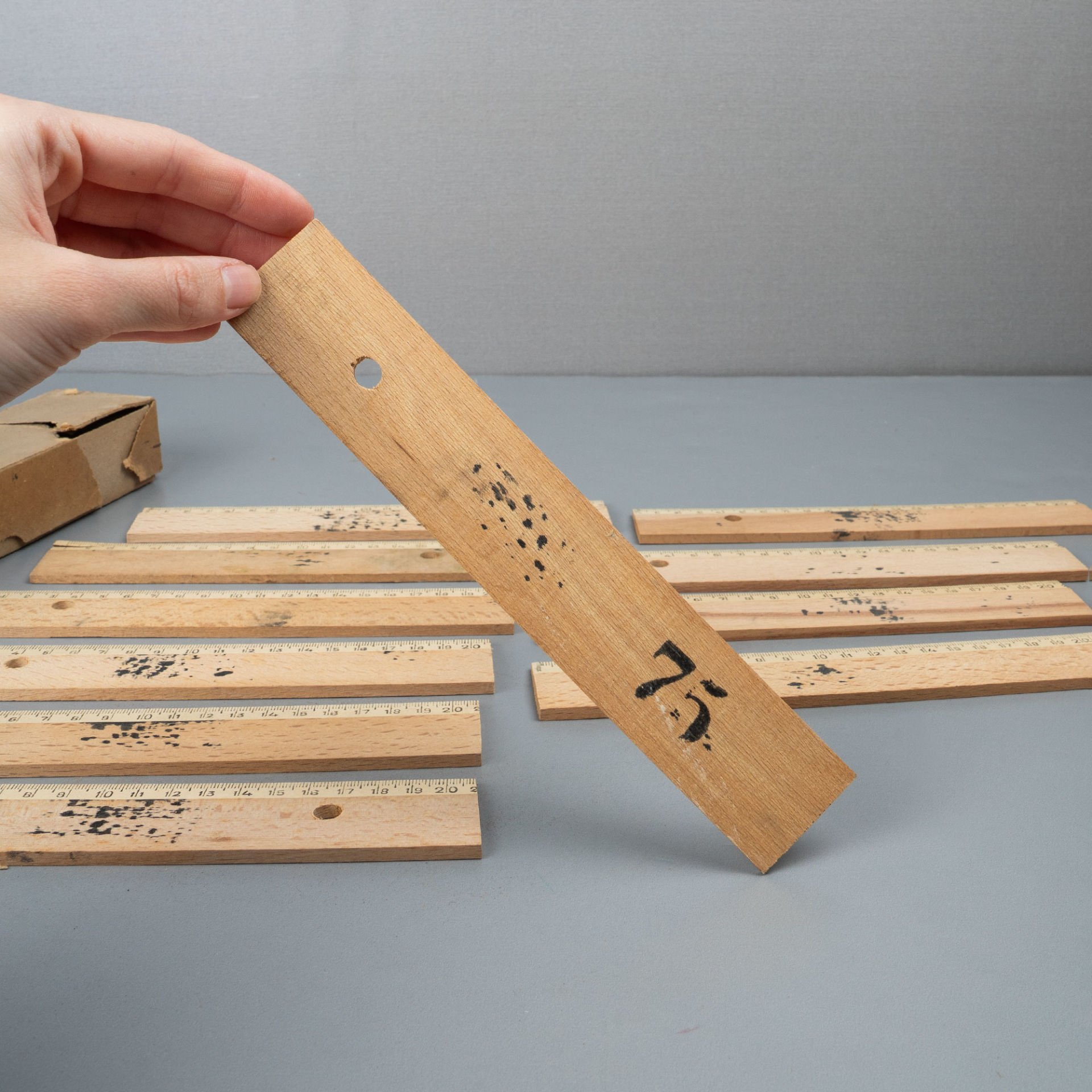 21 cm Ahşap Metalli Cetvel