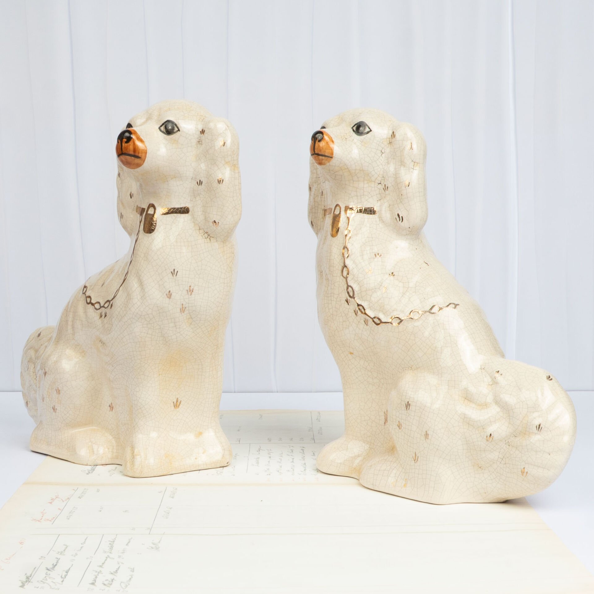 Büyük Beyaz Staffordshire Köpekleri